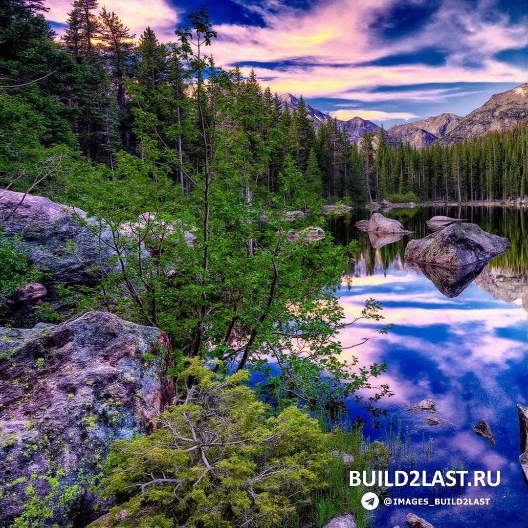 Величественные горы и густой лес на фоне природного ландшафта